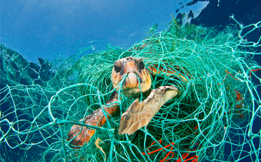 Las redes de pesca abandonadas, uno de los problemas más graves del mar, El eco de LOS40