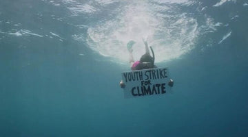 Underwater protest against climate change