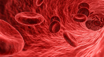 Detectados microplásticos en sangre humana por primera vez.