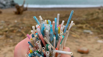 España da un paso adelante para acabar con los plásticos de un solo uso.