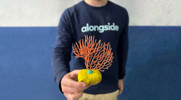 ResCap, un  grupo de investigación para conservar las Gorgonias del Mediterráneo